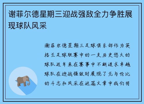 谢菲尔德星期三迎战强敌全力争胜展现球队风采